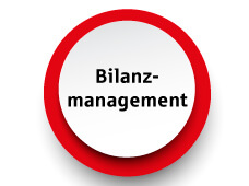 Abbildung Symbol Bilanzmanagement
